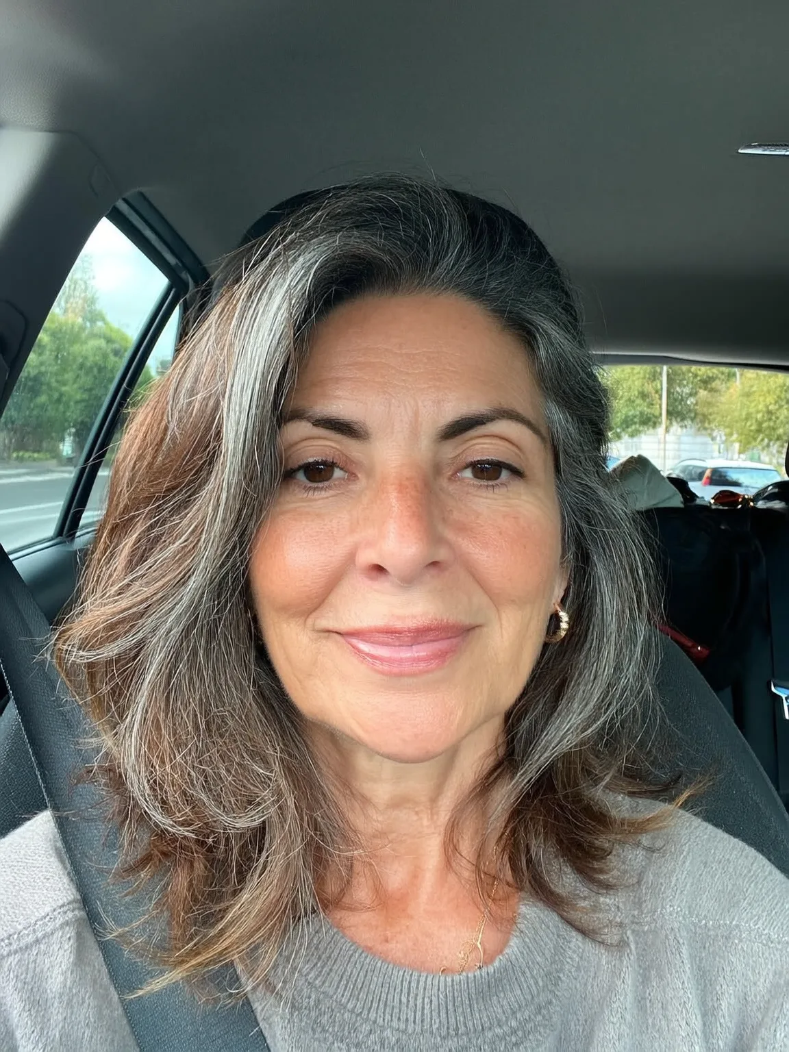 Medium Wavy Layers with Silver Highlights and Dark Brown Base
